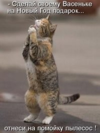 24 просителя, виртуозно демонстрирующих эмоции и заставляющих верить в их искренность