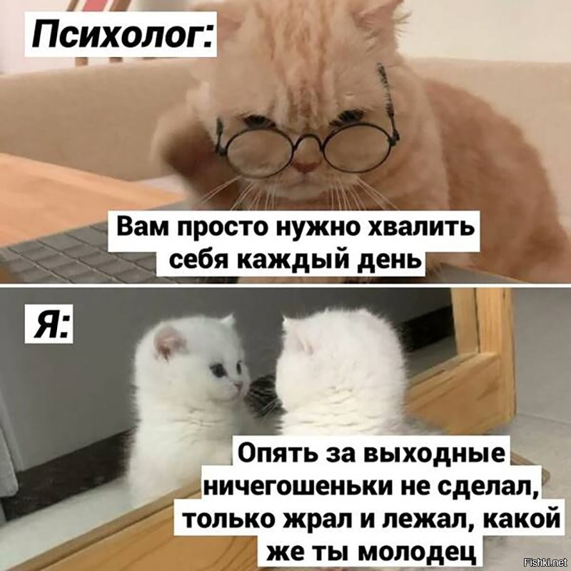 Солянка от 16.08.2024