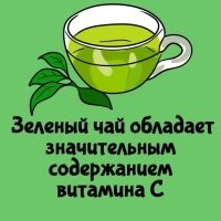 В еловых иголках, витамина С больше чем в лимоне.