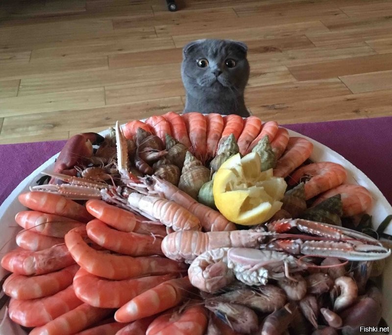 С добрым утром