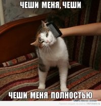 Водитель скутера получил неожиданную помощь