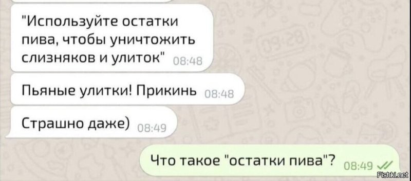 Хотите избавиться от слизней? Предложите им пиво!