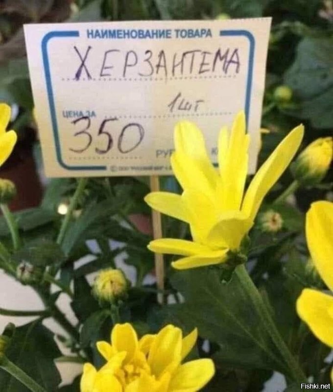 На общую тему&nbsp;