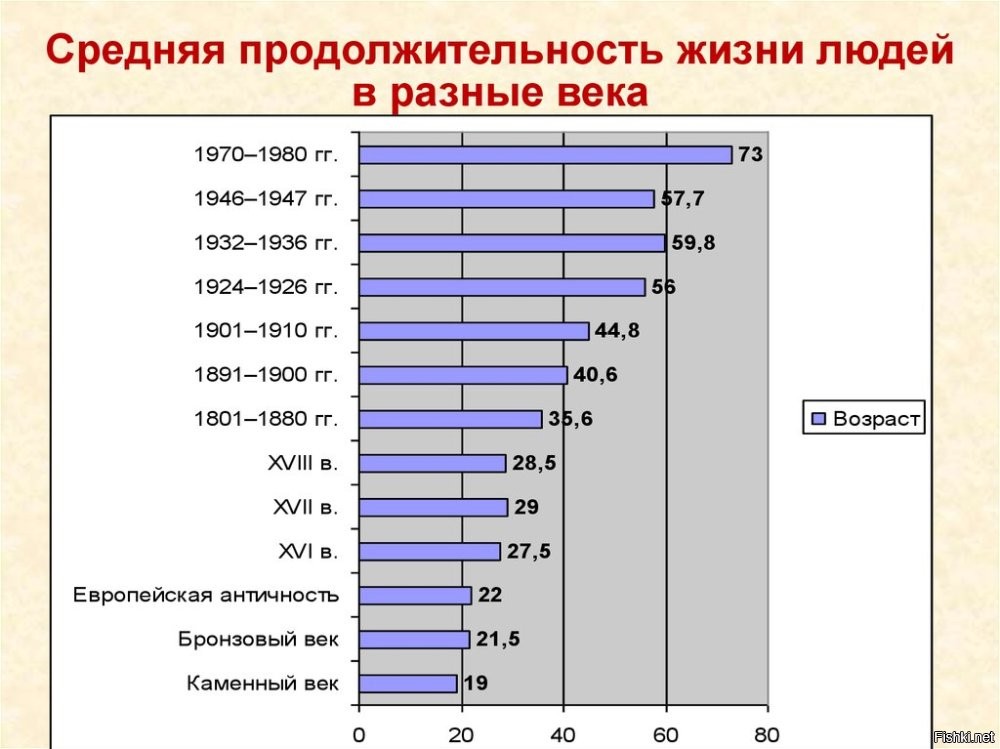 Дурачелло ты бестолковый