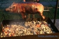 Кабан устроил переполох на железнодорожной станции