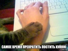 Пиковая дама в прошлом: подростки вызывают блогера А4 с помощью свечей, зеркала и лестницы