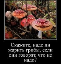 Просто веселые картинки