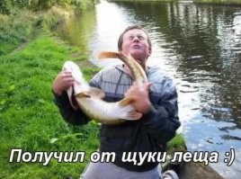 Просто веселые картинки