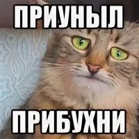 Просто веселые картинки