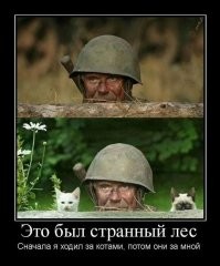 Просто веселые картинки