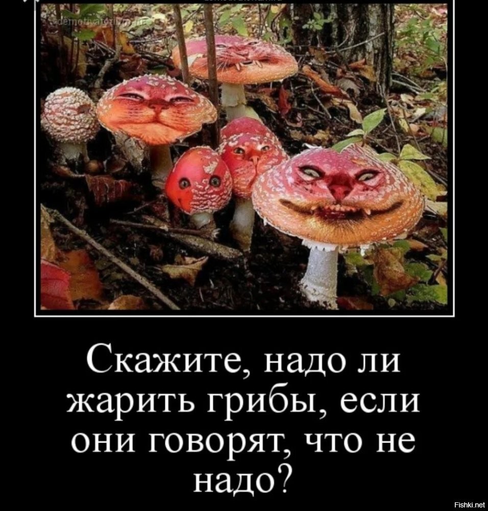 Просто веселые картинки