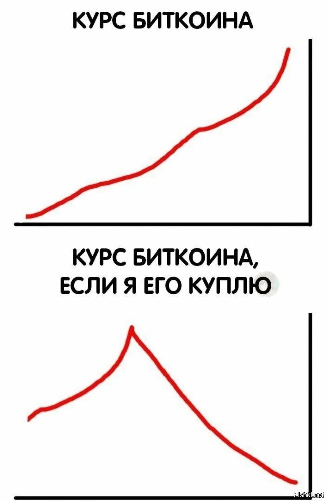 Солянка от 17.08.2024