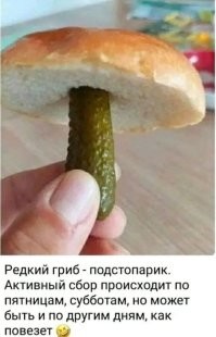 Просто веселые картинки