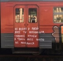 Парень проснулся с оленем в своей постели после вечеринки