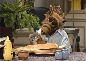 Все любят котиков. 

Но есть нюанс...