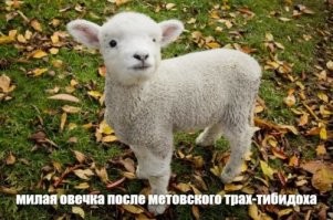О подобных я уже писал ...