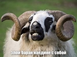 О подобных я уже писал ...