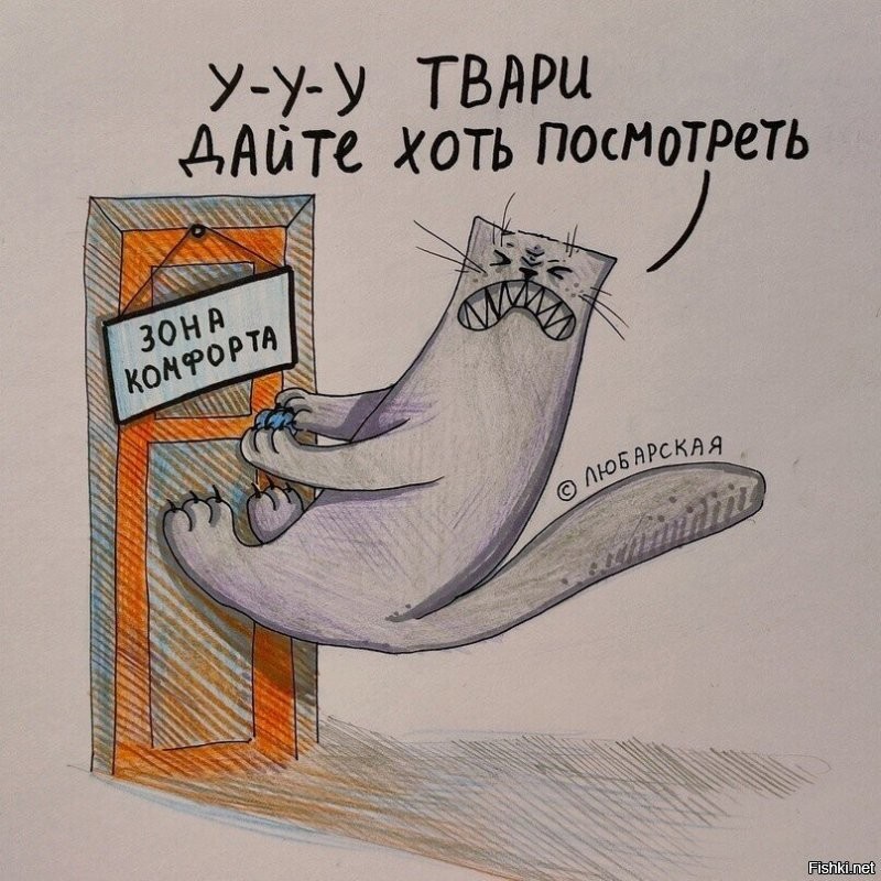 Солянка от 18.08.2024