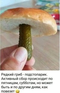 Что за гриб ?