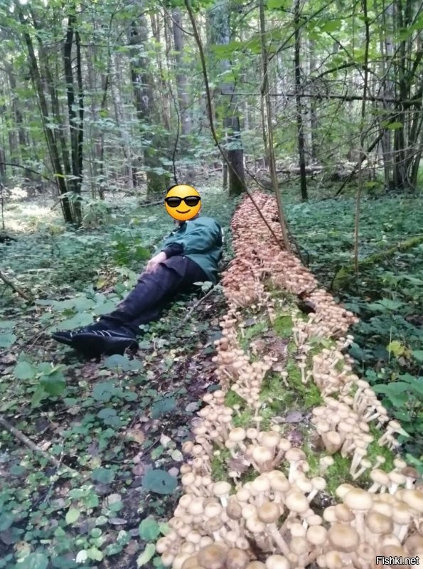 Вы хотите поговорить об этом?