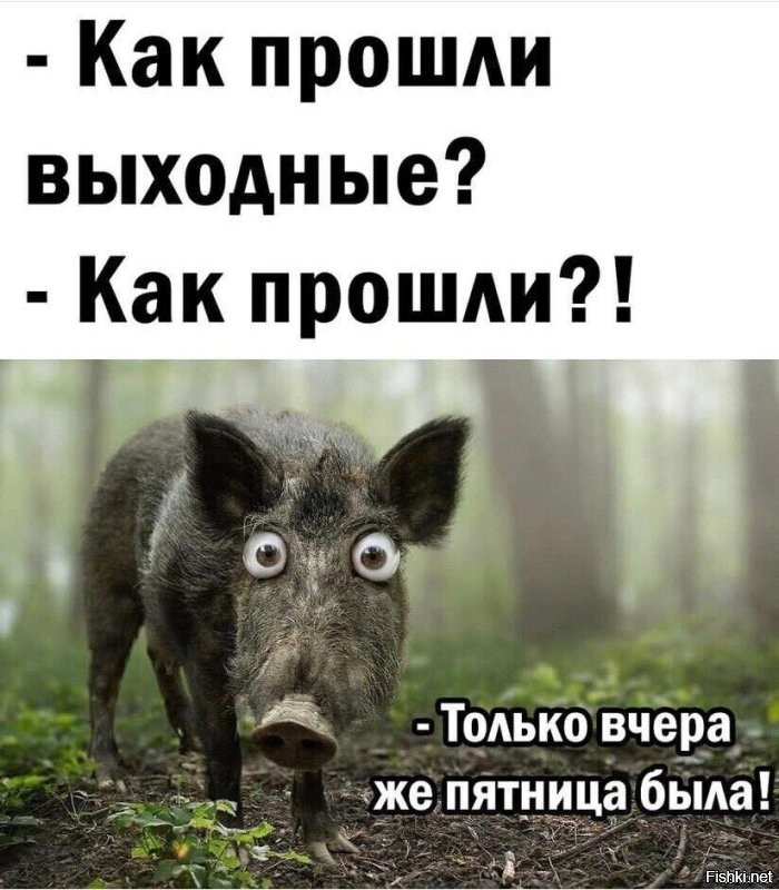 Солянка от 19.08.2024