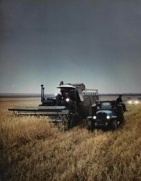 "Время жатвы обычно приходится на самые жаркие дни июля.
Думаю именно по этой причине на снимке жатва происходит в ночи..."

Думаю, что всё гораздо проще. Для предотвращения потерь уборку нужно провести в кратчайшие сроки, а техники у колхозов в 1930-е годы было не так и много. Вот чтобы успеть всё быстро убрать, работает она в три смены.