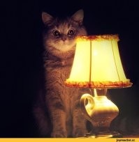 Мужики, держите мам в узде!!! А в остальном: