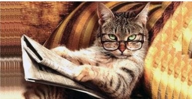 Скинь аренду добрый человек)