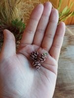 Не ищите здесь смысл. Здесь в основном маразм