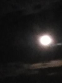 Ну чё, Луна как Луна! В натуре больше чем на фото(камера так себе).