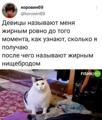 Не ищите здесь смысл. Здесь в основном маразм