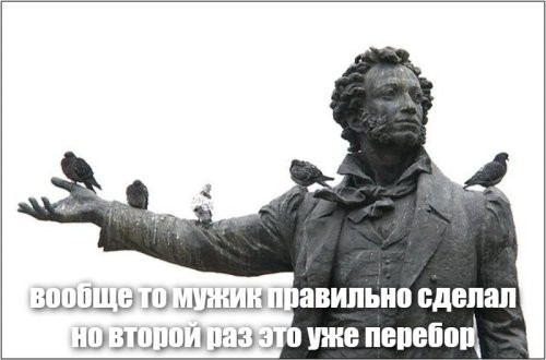 Дважды проехался по стае голубей и заработал лишение прав