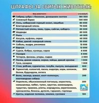 Там штраф 600 руб. минимум умножаем на 10
И без сомнения без штрафа не останется.