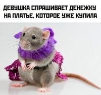 Скрины из соцсетей&nbsp;&nbsp;&nbsp;&nbsp;&nbsp;&nbsp;&nbsp;&nbsp;&nbsp;&nbsp;&nbsp;&nbsp;