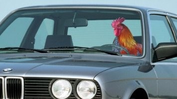 Скрины из соцсетей&nbsp;&nbsp;&nbsp;&nbsp;&nbsp;&nbsp;&nbsp;&nbsp;&nbsp;&nbsp;&nbsp;&nbsp;