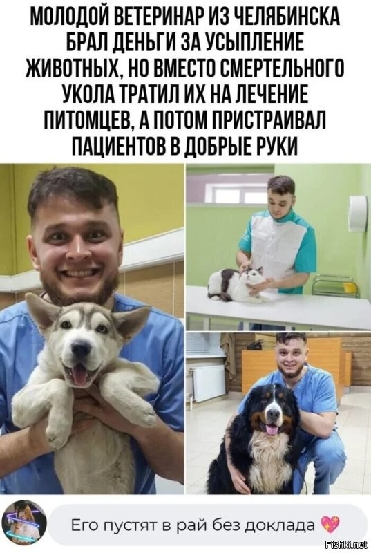 Спасение четвероногого друга