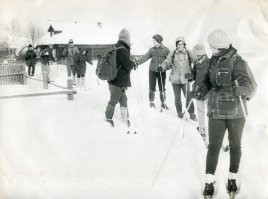 Московская область. 1979г.