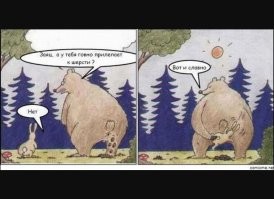 Поставить кошачий лоток в спальне было не лучшей идеей