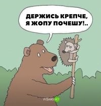 Поставить кошачий лоток в спальне было не лучшей идеей