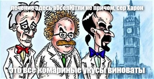 Женщина лишилась обеих ног после укуса комара