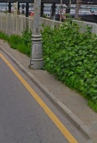 &nbsp;Намешалось&nbsp;