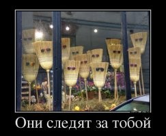 &nbsp;Намешалось&nbsp;