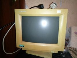 У меня тоже кактус стоял. Возле такого монитора ...