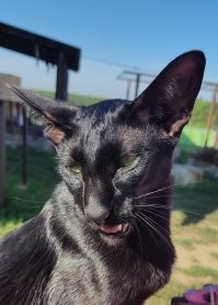 А это мой красавчик