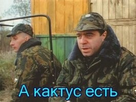 Из жизни ушёл автор затяжной шутки про кактусы у компьютера