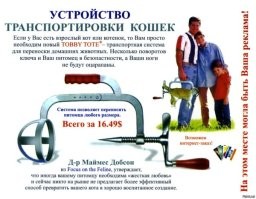Много мы таких устройств для котов видели