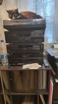 Насколько я помню большинство оригинальных пресформ Мелодии было разваровано, а новодел с МП3 он и есть новодел.
Не знаю. Есть огромная коллекция пластинок и кассет. Все играет более чем хорошо...