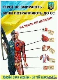Политический мониторинг (427)