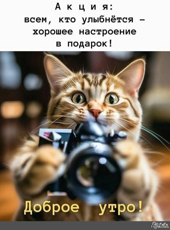 Доброе утро. Хороших выходных.