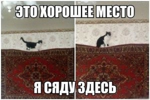 Просто гифки, всякие и&nbsp;разные